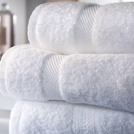 Otel Due Pavoni Pesaro