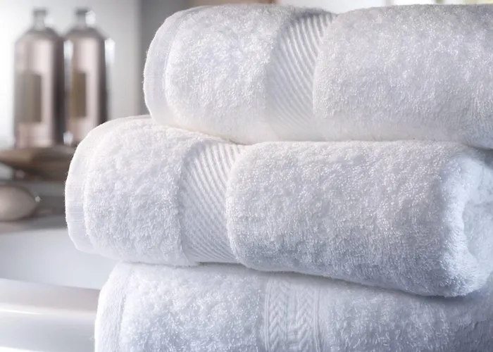 Otel Due Pavoni Pesaro